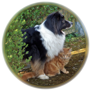 Kleintierpraxis Piktogram